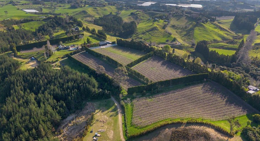  at 325F Esdaile Road, Whakamarama, Western Bay Of Plenty, Bay Of Plenty