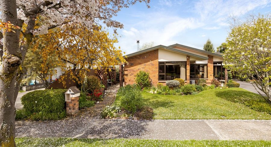  at 6 Owen Place, Springlands, Blenheim