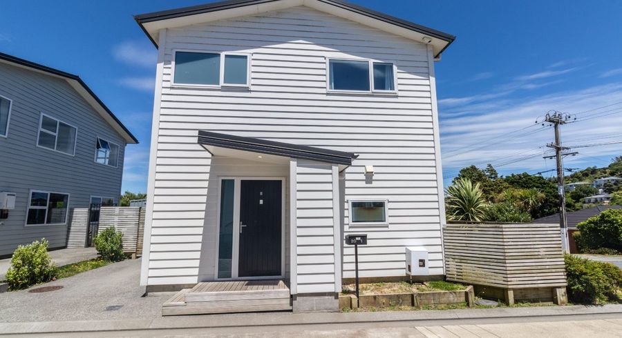  at 1/20 Glanmire Road, Newlands, Wellington, Wellington