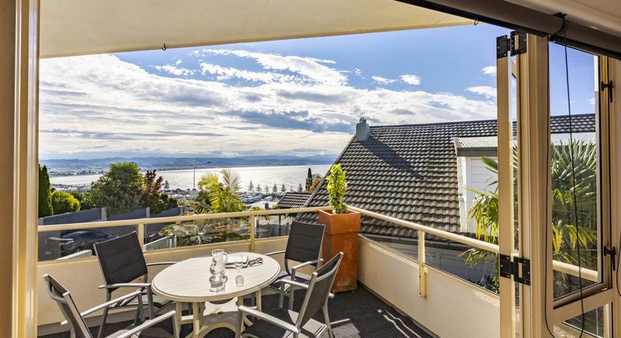  at 37 Fitzroy Road, Bluff Hill, Napier, Hawke's Bay