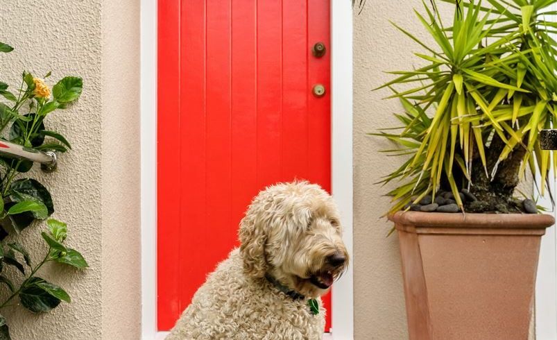  at 1/94 Island Bay Road, Beach Haven, Auckland