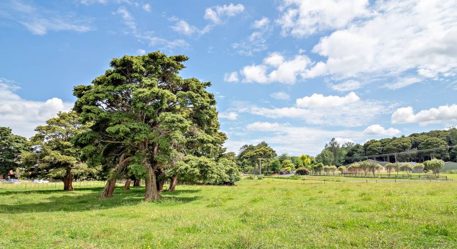  at 38 Kotuku Road, Waiuku