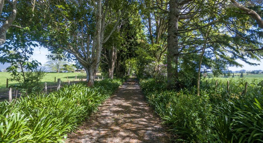  at 191 Bird Road, Pirongia, Te Awamutu