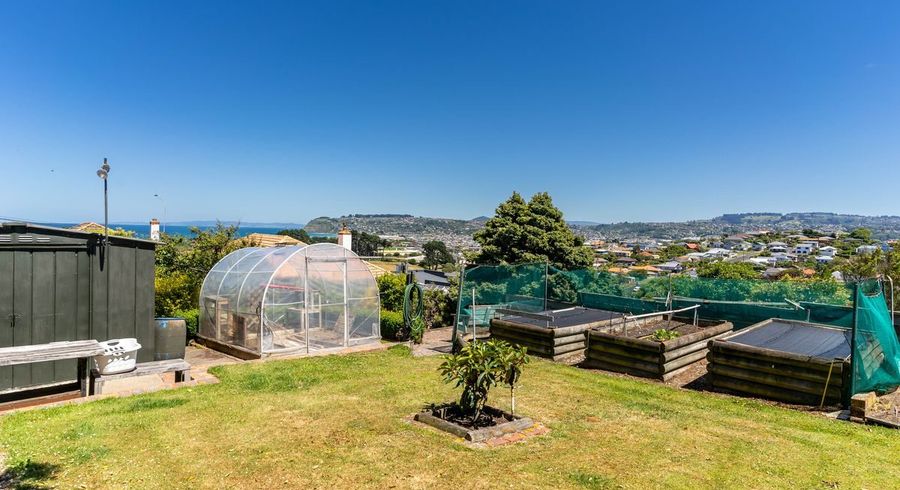  at 133 Tahuna Road, Andersons Bay, Dunedin