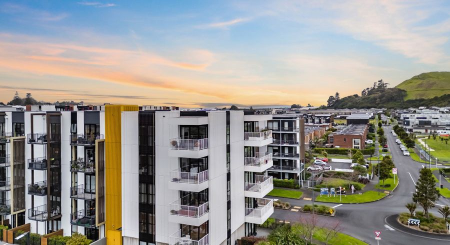  at 101/3 Bluegrey Avenue, Stonefields, Auckland City, Auckland