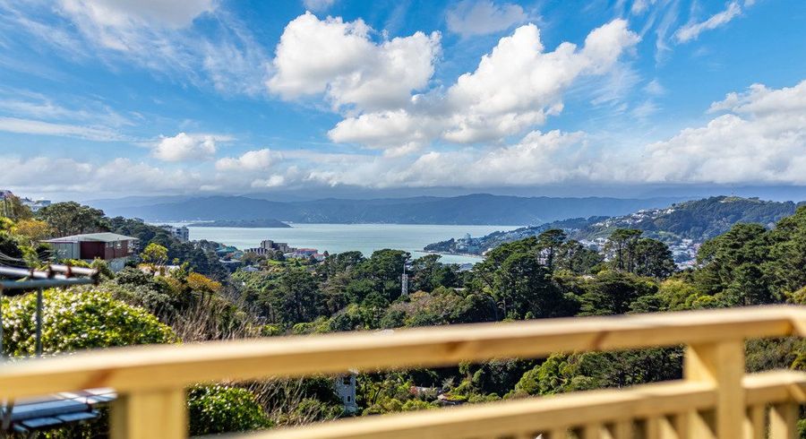  at 61 Mount Pleasant Road, Aro Valley, Wellington, Wellington