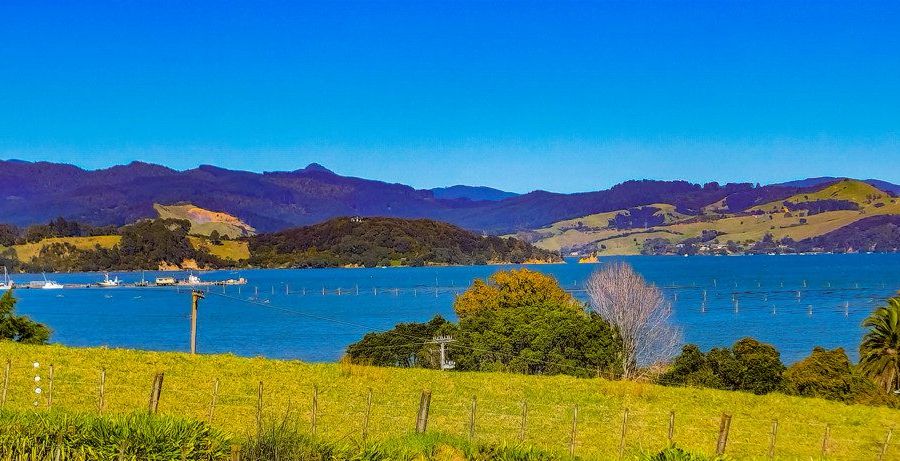  at 2886 Long Bay Road, Coromandel, Thames-Coromandel, Waikato