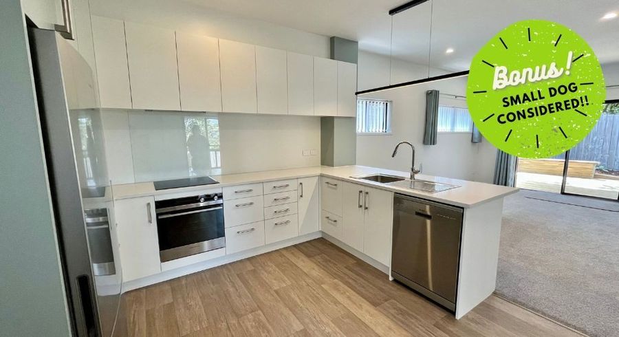  at 74B Brian Crescent, Stanmore Bay, Rodney, Auckland