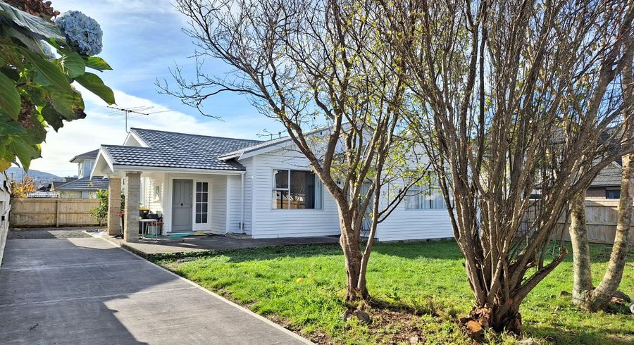  at 95 Pretoria Street, Lower Hutt, Lower Hutt, Wellington