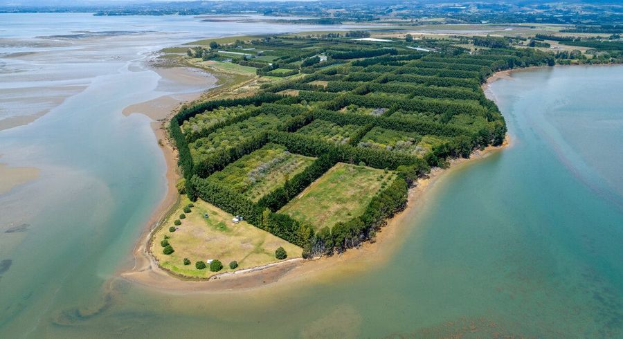  at 405 - 419 Matahui Road, Aongatete, Western Bay Of Plenty, Bay Of Plenty