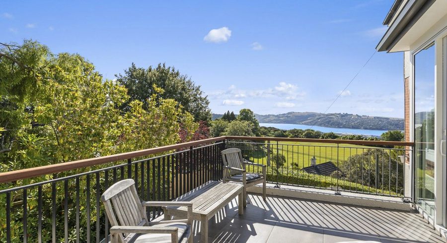  at 20 Littlebourne Road, Roslyn, Dunedin