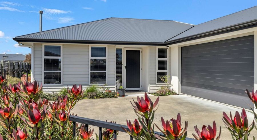  at 17 Morrell Street, Tawhero, Whanganui, Manawatu / Whanganui