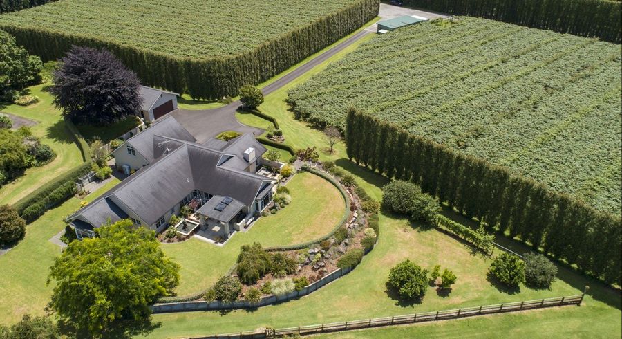 at 8/169 WAIROA ROAD, Wairoa, Tauranga