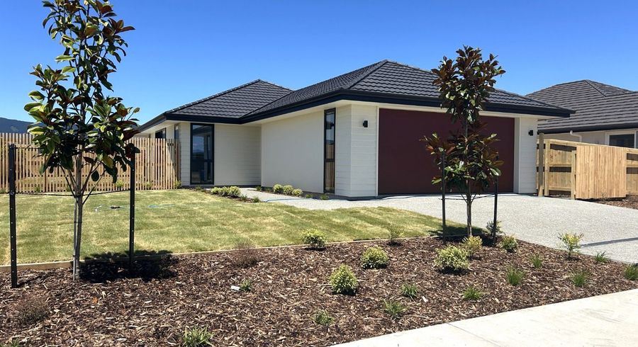  at 19 Rubus Street, Richmond, Tasman, Nelson / Tasman