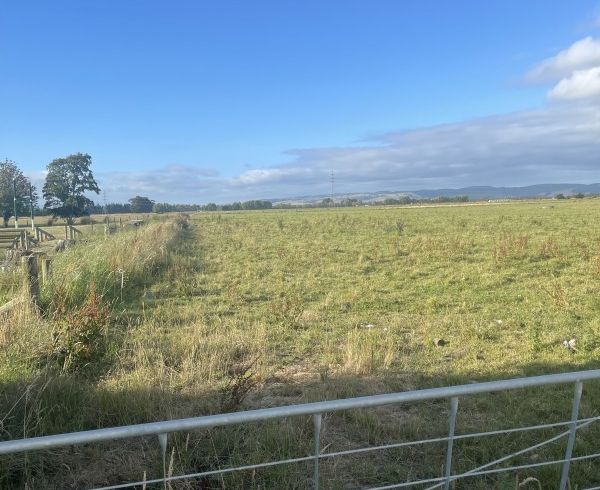 at 369 Shaws Trees Road, HEDDON BUSH, WINTON