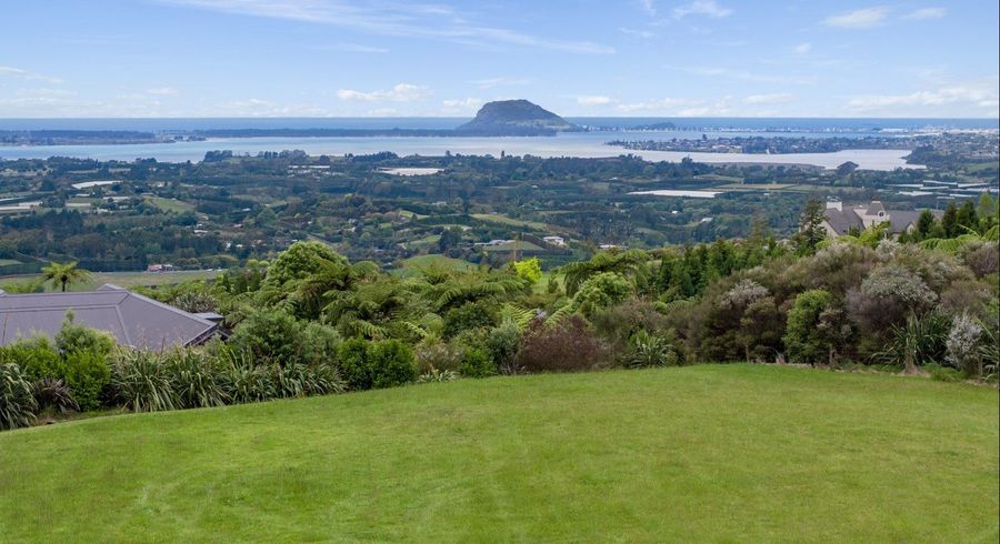  at 15 Pheasant Lane, Minden, Tauranga