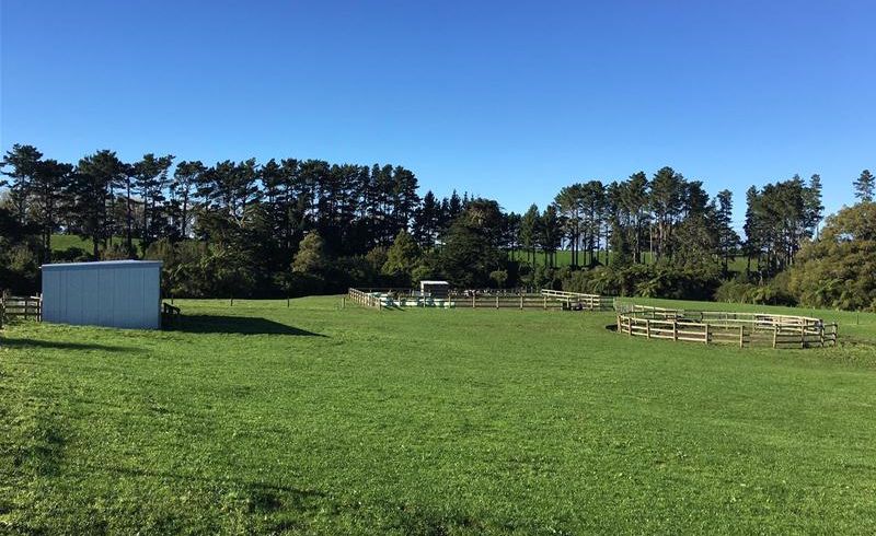  at 216 Whakamara Road, Hawera