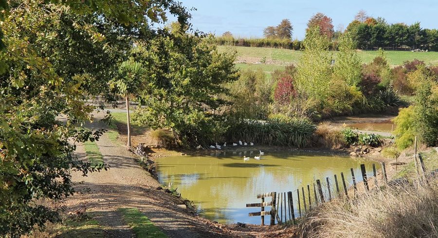  at 1239 Miranda Road, Pokeno