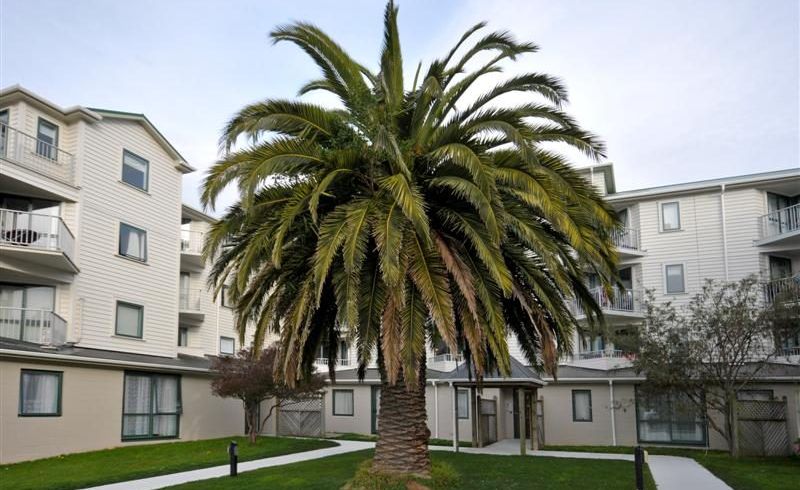  at D14/13 Palm Grove, Berhampore, Wellington, Wellington