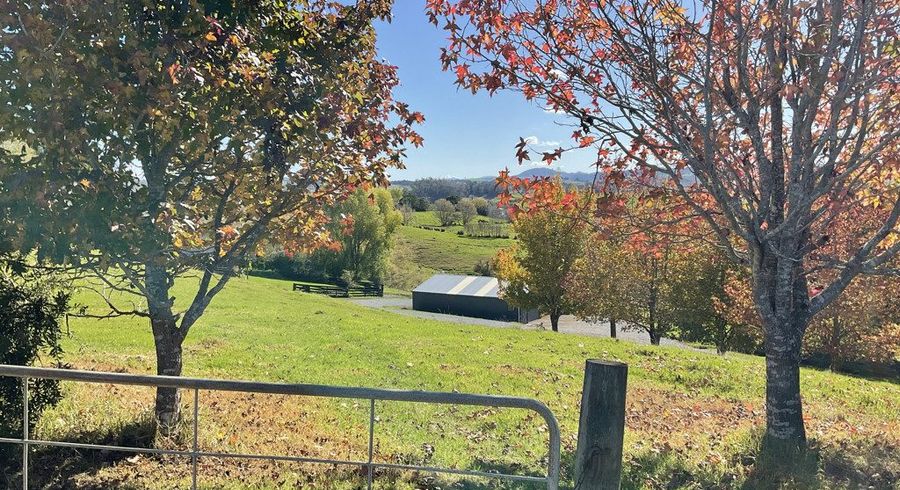  at 3 Holland Road, Whangarei