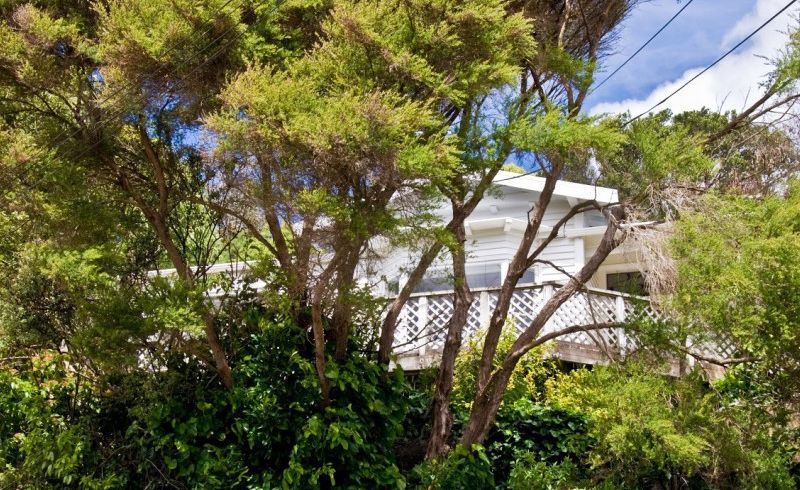  at 81 Wilton Road, Wilton, Wellington