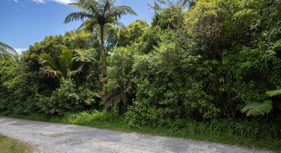  at 12 Hartmount Place, Te Miko