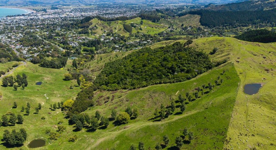 at 127 and 171 Darwin Road, Outer Kaiti, Gisborne, Gisborne