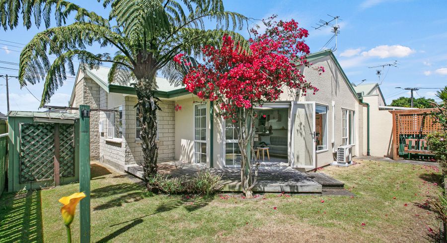  at 42A Wallace Place, Westown, New Plymouth