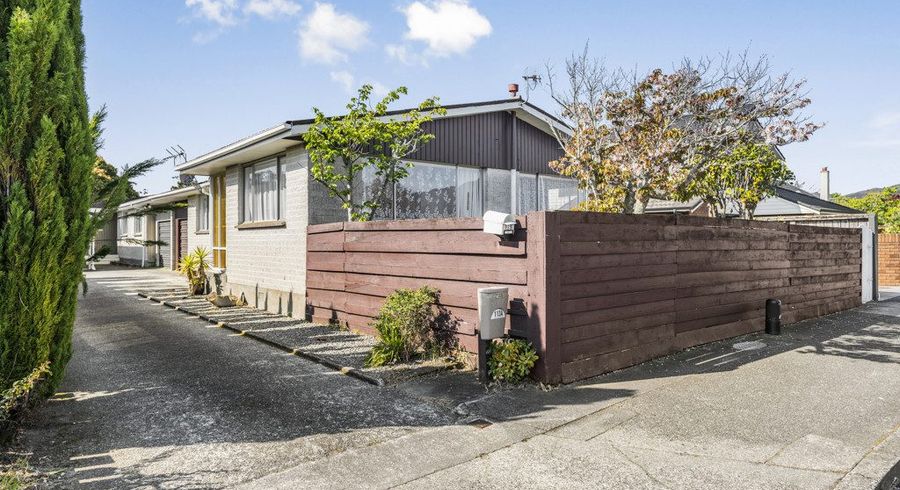  at 113 Knights Road, Hutt Central, Lower Hutt