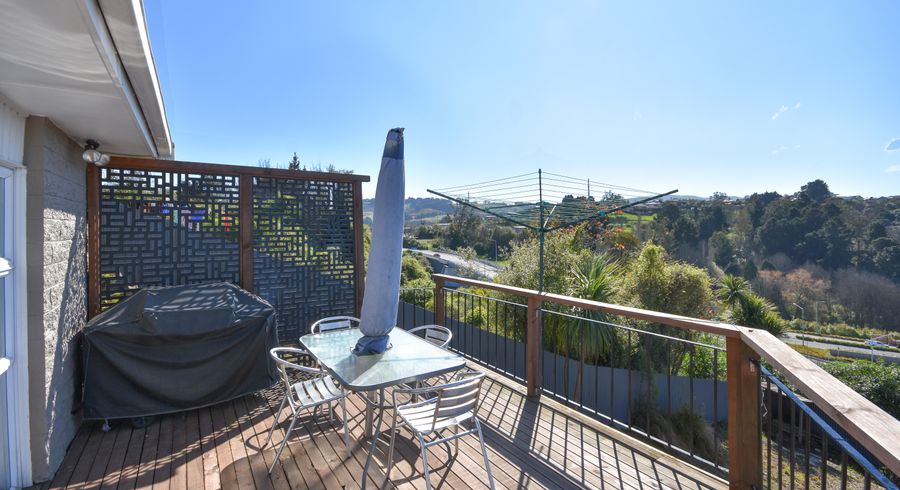  at 20 Columba Avenue, Calton Hill, Dunedin