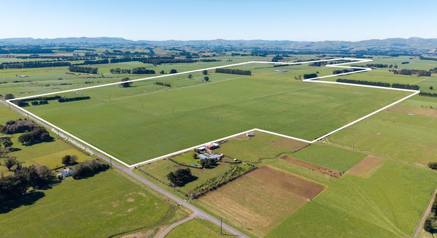  at 227 and 255 Te Rehunga North Road and 77 Tamaki River Road, Dannevirke, Tararua, Manawatu / Whanganui
