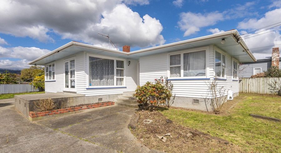  at 20 Green Avenue, Levin, Levin