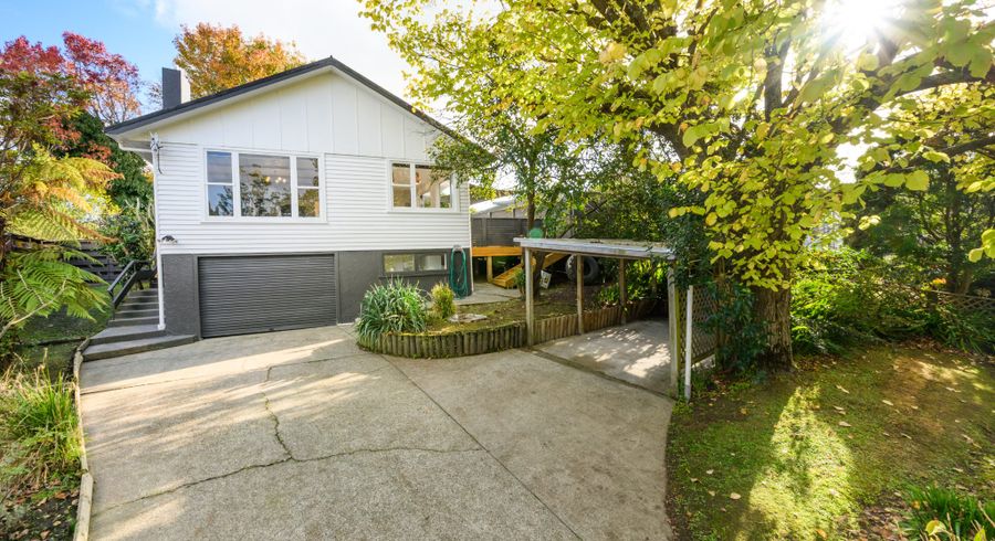  at 11 Juliana Place, Awapuni, Palmerston North, Manawatu / Whanganui