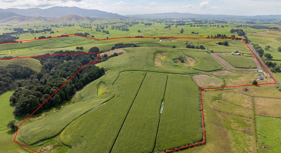  at 1179 Tahuna Road, Ohinewai, Waikato, Waikato