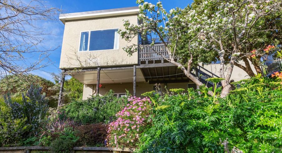  at 45 Wilkinson Street, Liberton, Dunedin