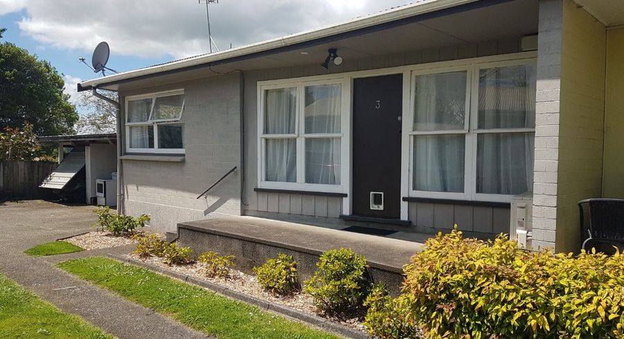  at 3/316 Saint Marys Avenue, Te Awamutu, Te Awamutu