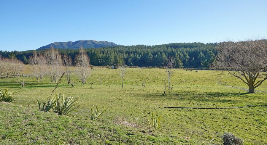  at Lot 2/480 Cramptons Bush Road, Amberley, Hurunui, Canterbury