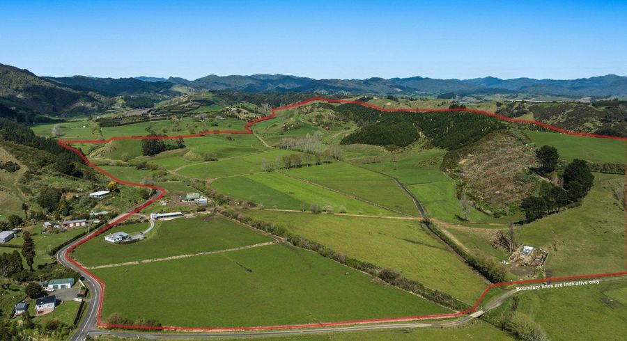  at 294 Tirohanga Road, Opotiki, Opotiki, Bay Of Plenty