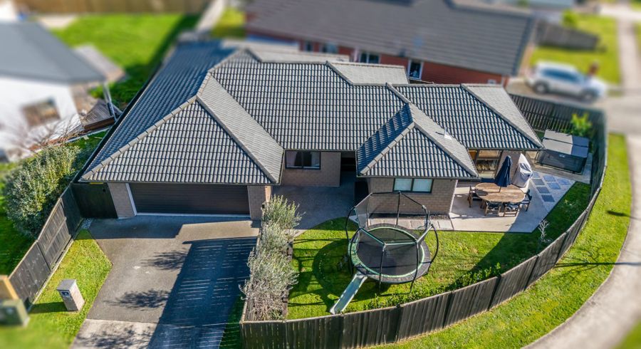  at 31 Tupelo Street, Pukete, Hamilton