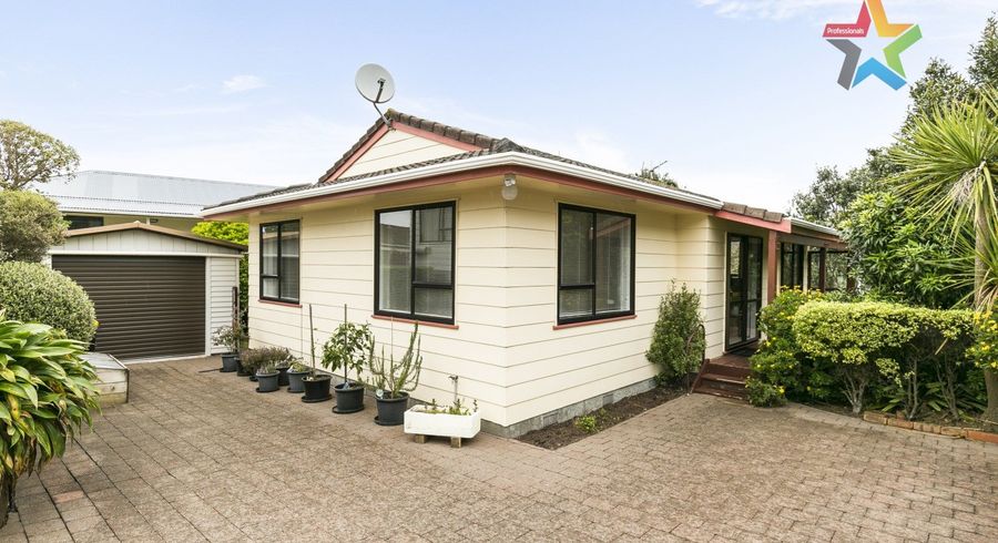  at 250A Mitchell Street, Brooklyn, Wellington