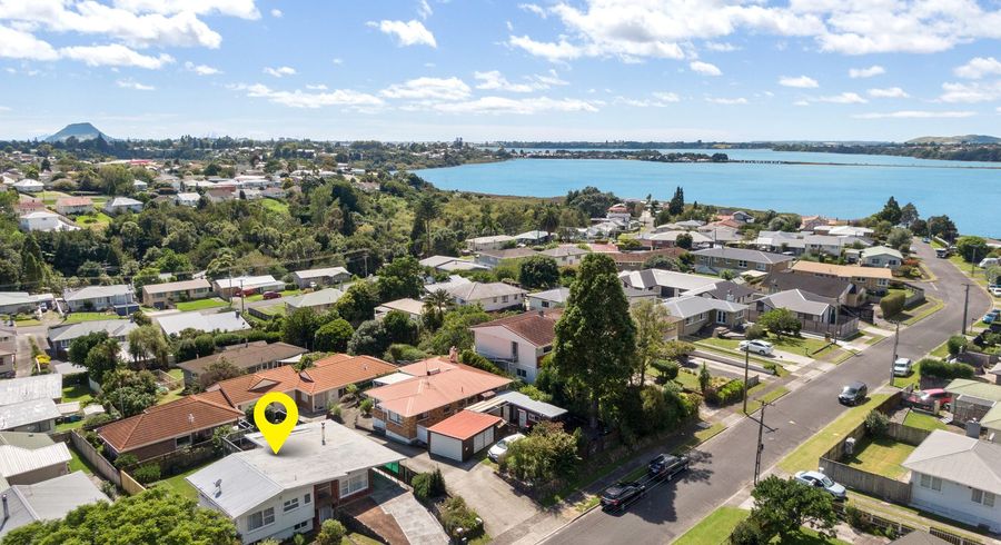  at 43 Harrier Street, Parkvale, Tauranga