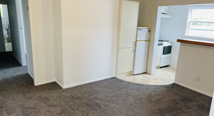  at 19 Hania St (6 bedrooms), Mount Victoria, Wellington, Wellington