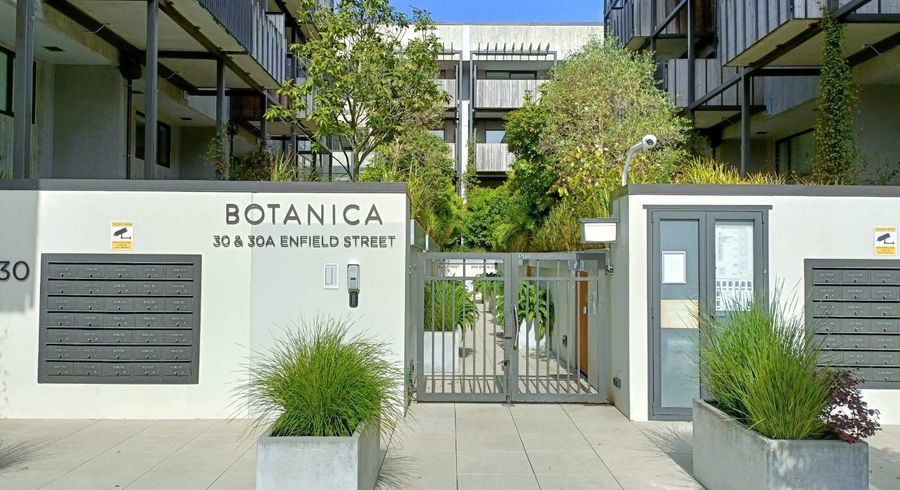  at 303/30 Enfield St, Mount Eden, Auckland City, Auckland