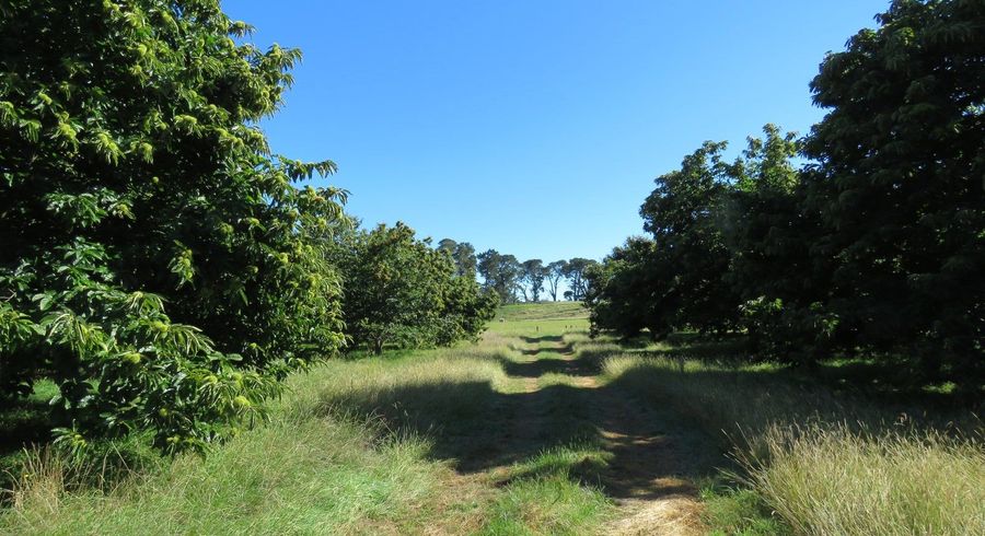  at 1424 Matapiro Road, Crownthorpe, Hastings