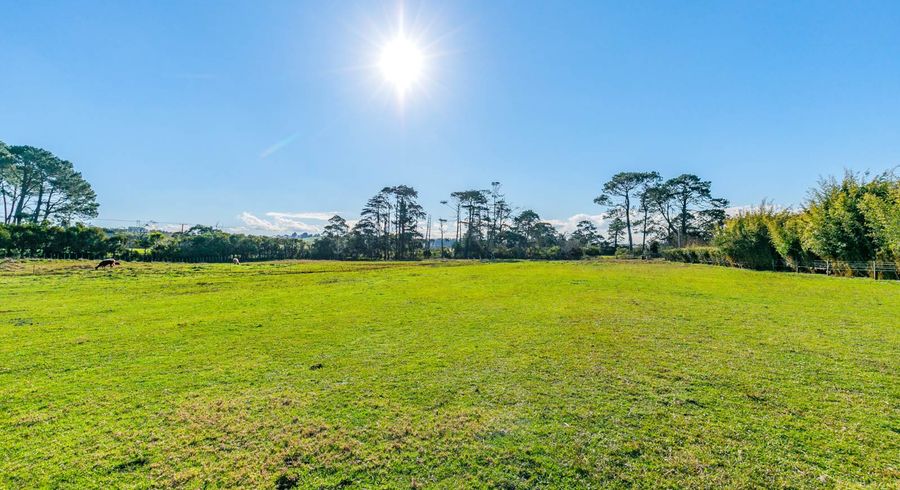  at 219 Waitakere Road, Henderson