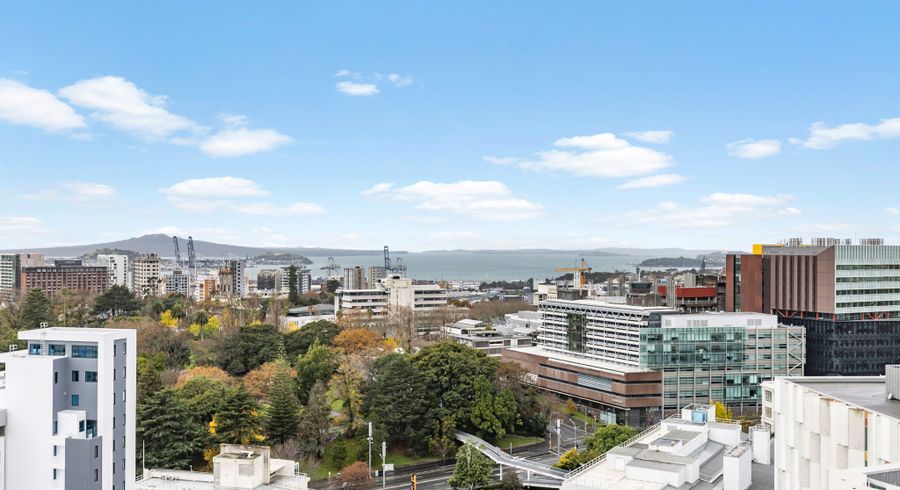  at 1401/8 Airedale Street, City Centre, Auckland City, Auckland