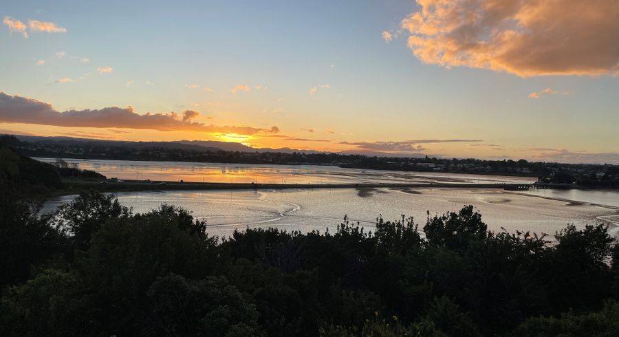  at 24 Sunset Crescent, Maungatapu, Tauranga
