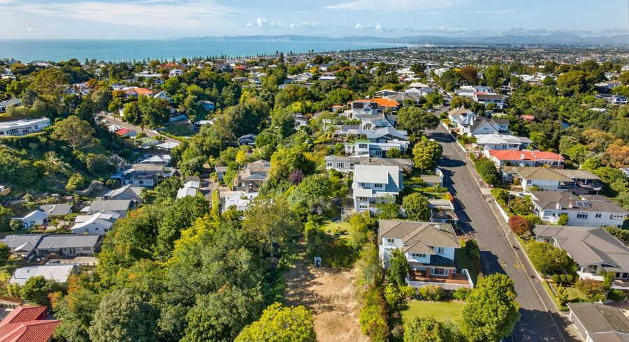  at 19 Coleman Terrace, Hospital Hill, Napier, Hawke's Bay