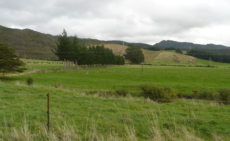  at 199 Marchant Road, Kaitoke, Upper Hutt