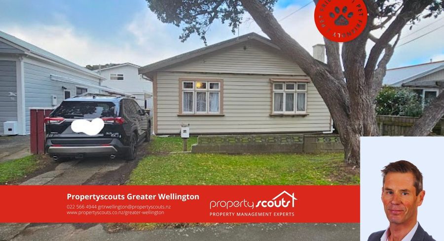  at Miramar, Wellington, Wellington